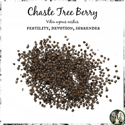 Chaste Tree Berries, Organic | Fertility, Devotion, Surrender