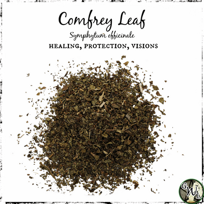 Comfrey Leaf, Organic | Healing, Protection, Visions