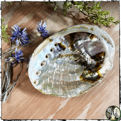 Abalone Shell for Smudging, Green Witch Living