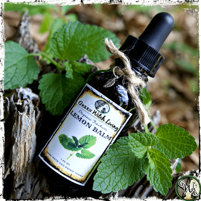 Organic Lemon Balm Herbal Tincture for Anxiety, Depression, Green Witch Living
