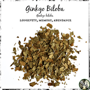 Ginkgo Biloba Leaf, Organic | Longevity, Memory, Abundance