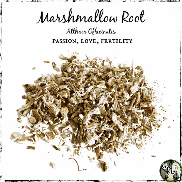 Marshmallow Root, Organic | Passion, Love, Fertility