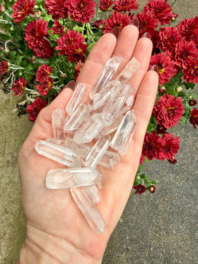 Clear Quartz Crystal Points Set of 10 | Power, Balance