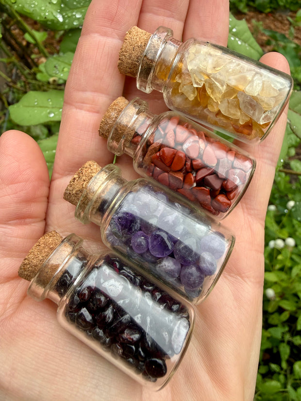 Crystal Chip Apothecary Set of 4 | Garnet, Amethyst, Red Jasper, Citrine