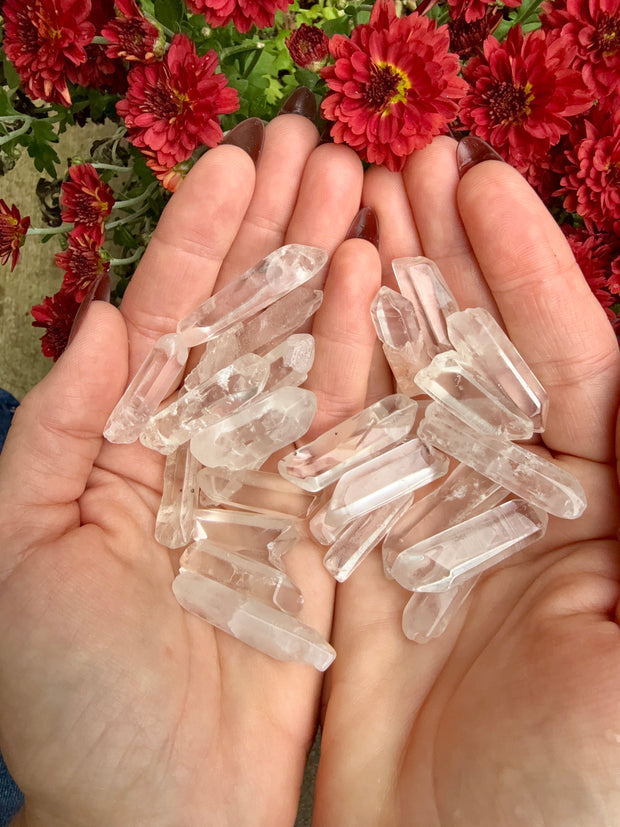 Clear Quartz Crystal Points Set of 10 | Power, Balance