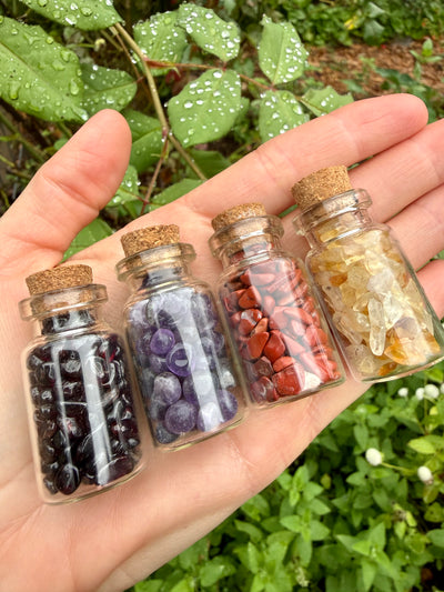 Crystal Chip Apothecary Set of 4 | Garnet, Amethyst, Red Jasper, Citrine