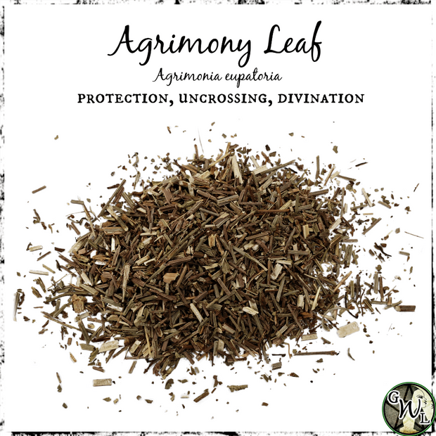 Agrimony Leaf Herb for Witchcraft, Protection, Green Witch Living