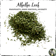 Alfalfa Leaf, Organic | Prosperity, Good Fortune, Security