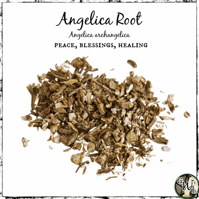 Angelica Root, Organic | Peace, Blessings, Healing