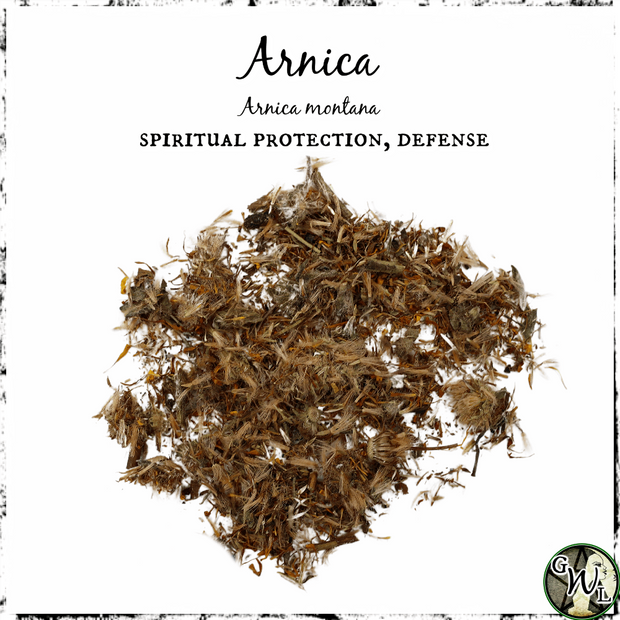 Arnica Flowers, Organic | Spiritual Protection, Defense