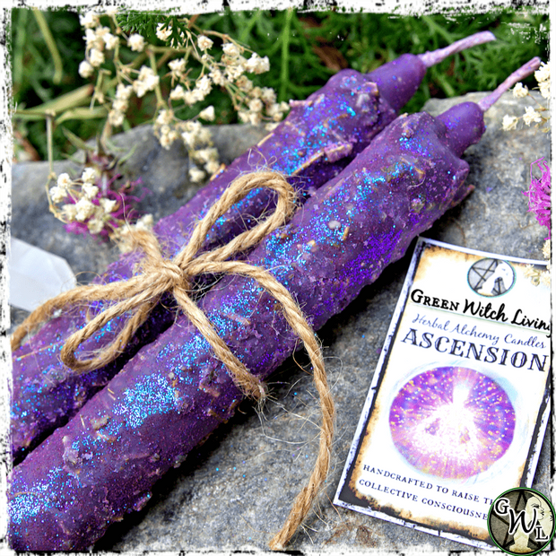 Ascension Herbal Alchemy Spell Candles, Green Witch Living