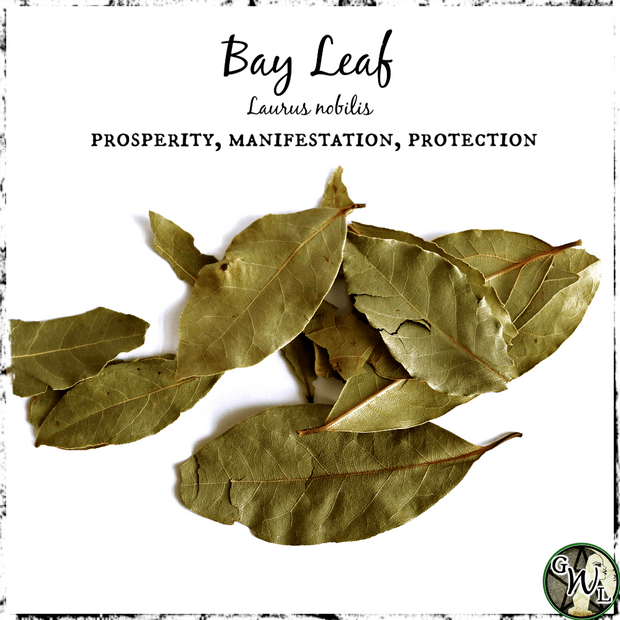 Bay Leaf, Organic | Prosperity, Manifestation, Protection
