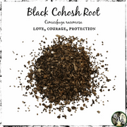 Black Cohosh Root, Organic | Love, Courage, Protection