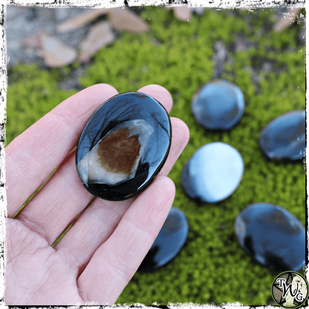 Black Onyx Crystal Palm Stone | Protection, Strength, Grounding