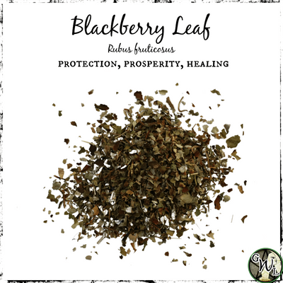Dried Blackberry Leaf, Witchcraft, Prosperity, Healing, Protection, Green Witch Living