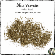 Blue Vervain, Organic | Astral Projection, Dreams