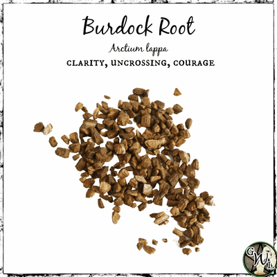 Burdock Root, Organic | Clarity, Uncrossing, Courage