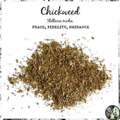 Chickweed, Organic | Peace, Fidelity, Guidance
