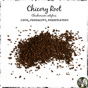 Chicory Root, Organic | Luck, Frugality, Purification