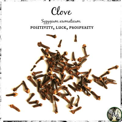 Clove Buds, Organic | Positivity, Prosperity, Luck