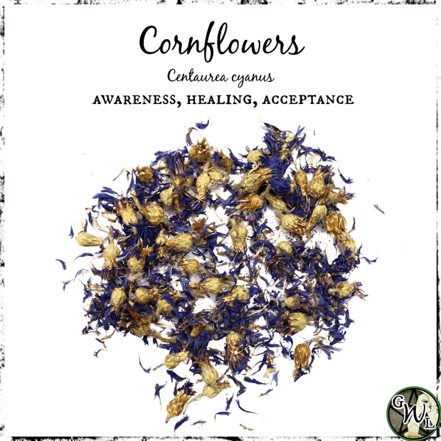 Cornflowers, Organic | Acceptance, Healing, Awareness
