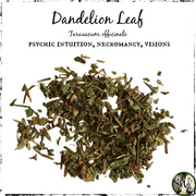 Dandelion Leaf, Organic | Psychic Intuition, Necromancy, Visions