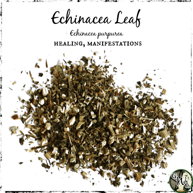 Echinacea Leaf, Organic | Healing, Manifestations