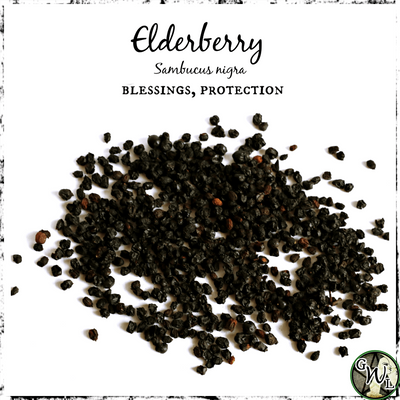 Dried Elderberry Herb for Blessings, Protection, Green Witch Living