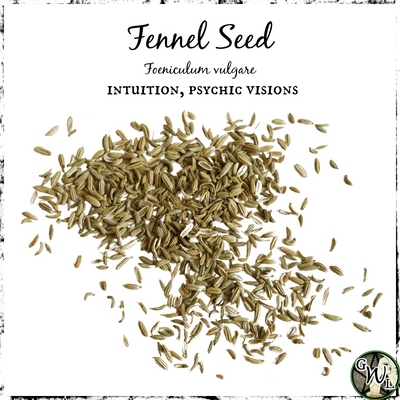 Fennel Seed, Organic | Intuition, Psychic Visions
