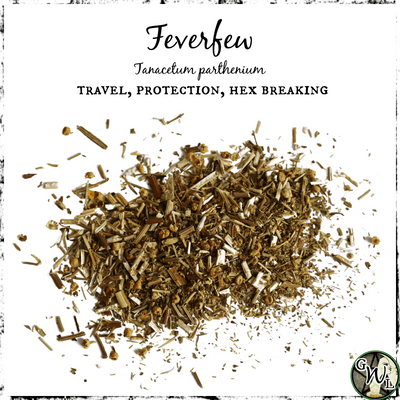 Feverfew, Organic | Travel Protection, Hex Breaking