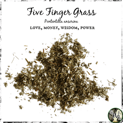 Five Finger Grass, Organic | Love, Money, Wisdom, Power