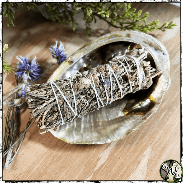 Abalone Shell for Smudge Stick, Green Witch Living