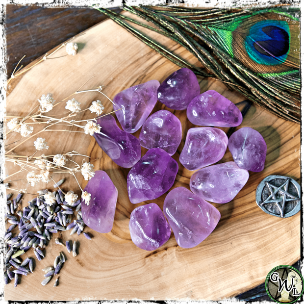 Tumbled Amethyst Crystals for Dreams, Visions, Green Witch Living