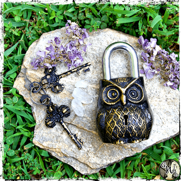 Owl Lock and Key Set for Witches, Green Witch Living
