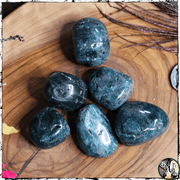 Tumbled Apatite Crystal for Manifestation, Green Witch Living