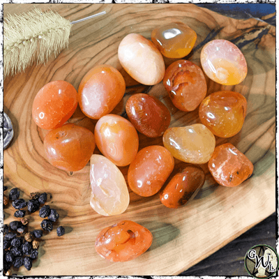 Tumbled Carnelian Crystal, Crystals for Witches, Green Witch Living