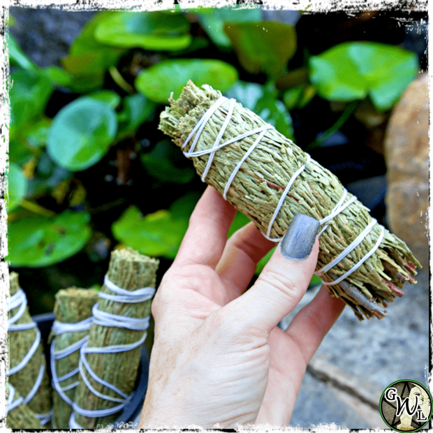 Cedar Smudge Bundle for Protection, Smoke Wand, Green Witch Living