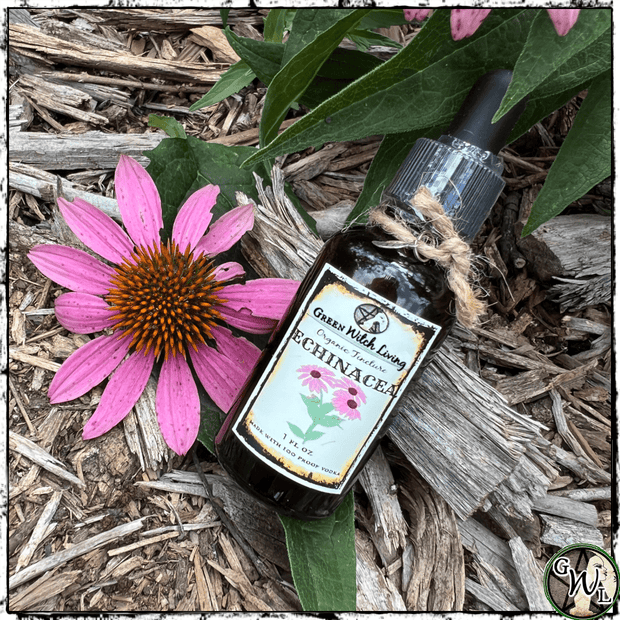 Organic Echinacea Tincture for Colds, Flu, Immunity, Green Witch Living
