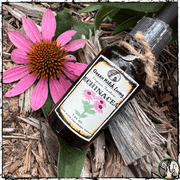 Organic Echinacea Tincture for Immune Support, Green Witch Living