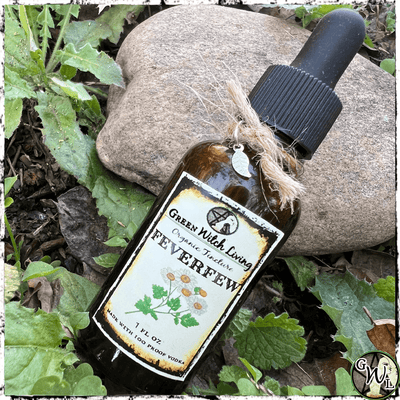 Organic Feverfew Tincture, Extract | Green Witch Living