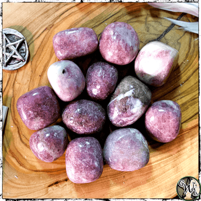 Tumbled Lepidolite Crystals, Transition, Dream Recall, Green Witch Living