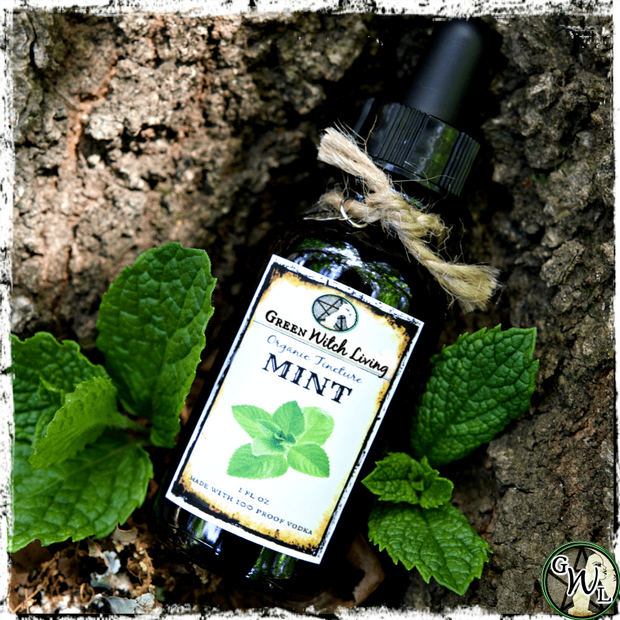 Organic Mint Herbal Tincture for Digestion, Green Witch Living