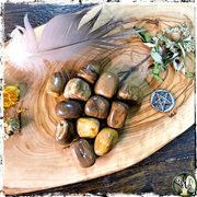 Tumbled Petrified Wood Crystals for Stability, Grounding Energy, Green Witch Living