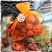 Putka Pods, Mini Pumpkins, Witch Fall Decor, Green Witch Living