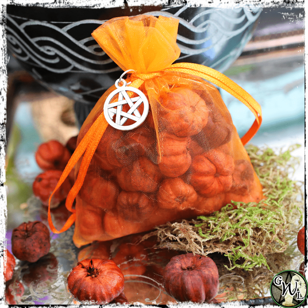 Putka Pods, Mini Pumpkins, Witch Fall Decor, Green Witch Living