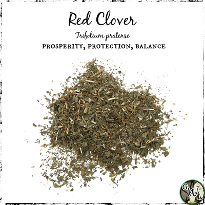 Red Clover Herb for Prosperity, Protection, Balance, Green Witch Living