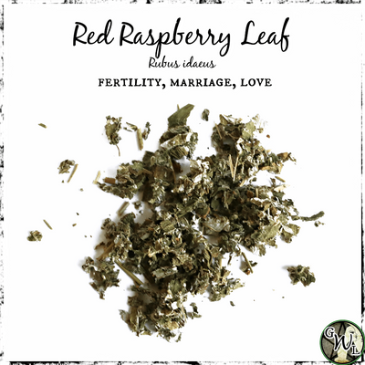 Red Raspberry Leaf for Fertility, Marriage, Love, Green Witch Living