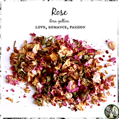 Rose Flower Buds, Petals for Witches, Green Witch Living