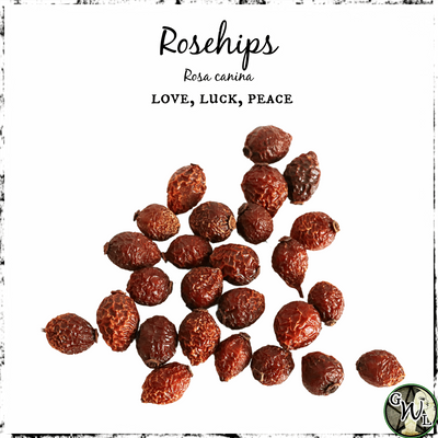 Rosehips for Love, Luck, Peace, Green Witch Living