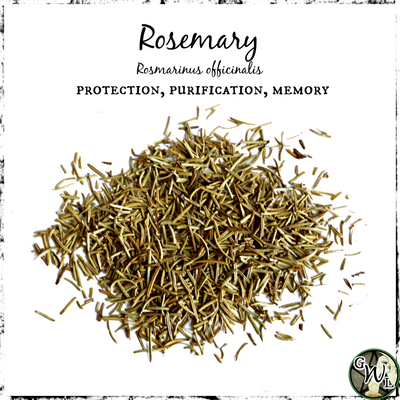 Rosemary Herb for Protection, Purification, Memory, Green Witch Living